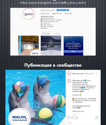img3691536.png