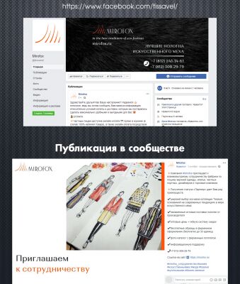 img3537947.png