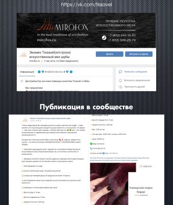 img3537945.png