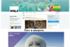 Интернет-маркетинг / Twitter