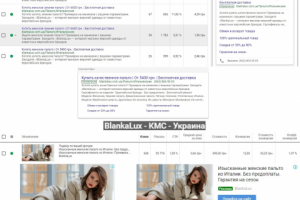 Интернет-магазин верхней одежды - Adwords / CTR до 9%