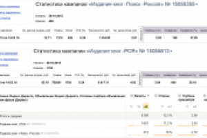 Издание книг - CTR 6% / Конверсия 35-38%