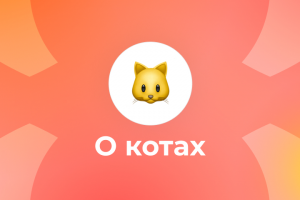 Карточки о котах