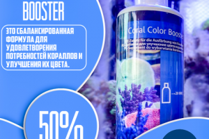 Креативы для соцсетей