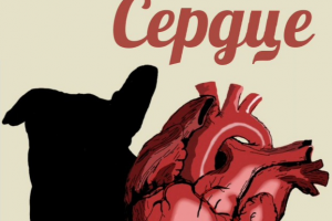 Обложка а книге "Собачье Сердце" М. Булгакова