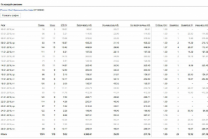 Настройка РК в Директ для лендинга по продаже франшизы