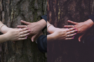 Свадебное фото 1