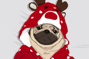 Векторный портрет по фотографии