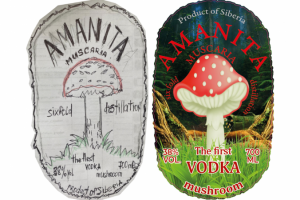 Отрисовка по эскизу. Перевод с растра в вектор