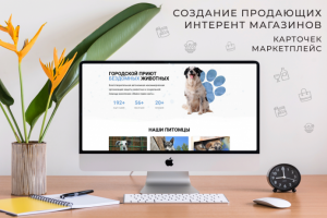 Лендинг - Городской Приют Бездомных Животных