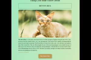 Devon Rex