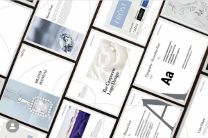 Frost Business Plan and Brand Identity