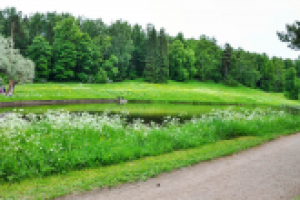 Работа 2853785