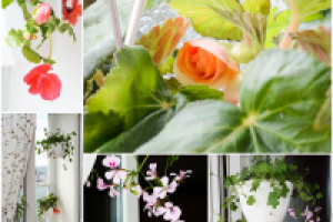 Работа 2853749