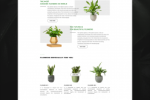 Дизайн сайта "Цветы"