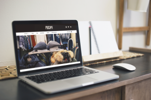 Интернет-магазин под ключ