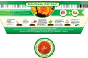 Дизайн этикетки для цветов 2