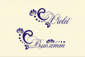 Логотип для интернет магазина