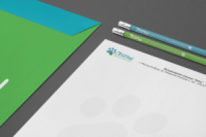 Фирменный стиль для ветеринарной клиники "Лапы"