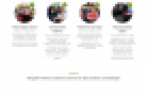 Промосайт партнёров компании One Shop World