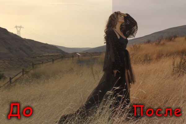 img4154954.png