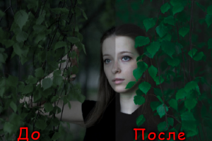 Работа 4154431