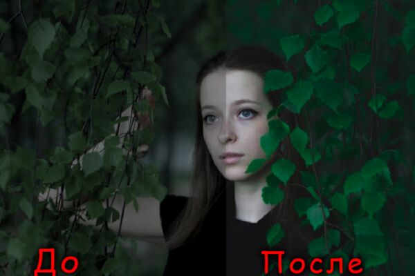img4154431.png