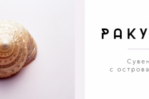 Баннер для сайта karaptu.com