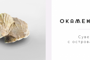 Баннер для сайта karaptu