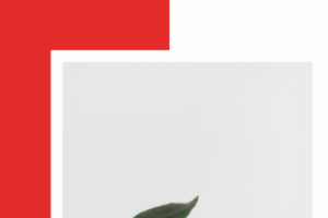 Обложки на igtv