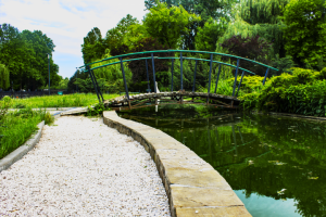 городской пруд