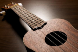 Acoustic & Fun Ukulele