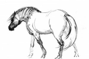 Работа 3002295