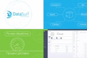 Презентация компании DataSurf
