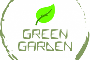 Лого векторная графика