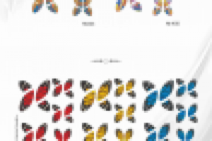 каталогювелирки3