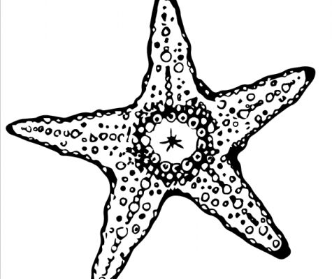 img4157008.png