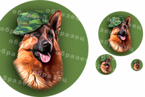 Рисунок овчарки