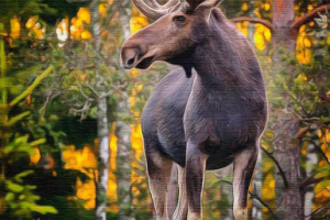 Обработка фото под картину