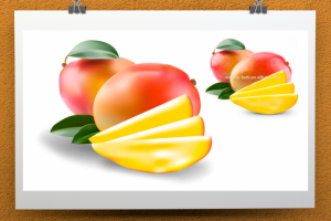 Векторный рисунок по фото "Манго"