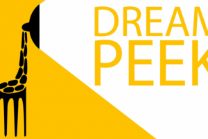 Фирменный стиль для компании "Dream Peek"
