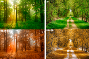 Замена цвета в природе