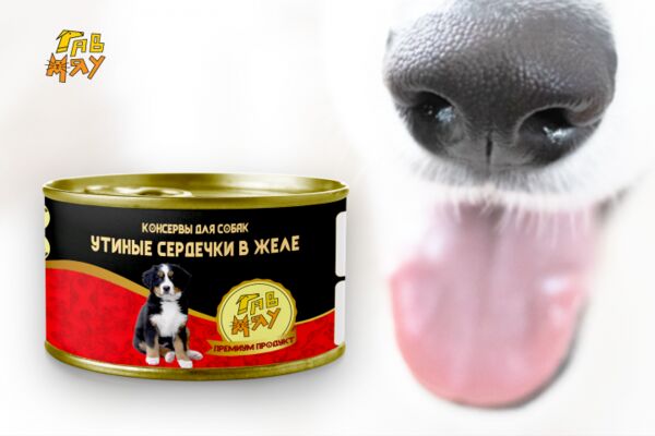 img3997077.png