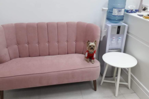 Диван для салона красоты - 32000 р.