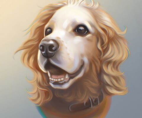 img4289001.png
