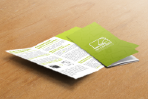 Брошюра для IT разработчика.