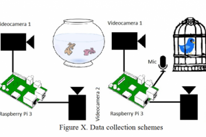 Технология прогнозирования землетрясений EN-RU