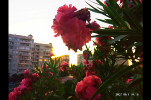 Улучшение качества фотографии