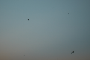 lounge, downtempo, chill - example