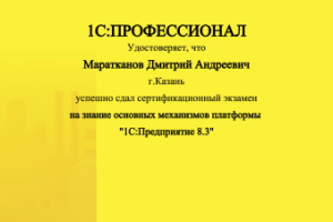 1С:Профессионал